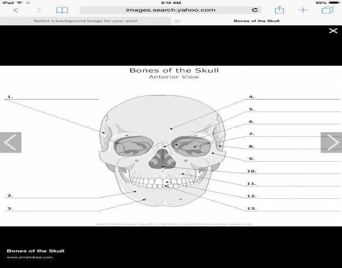Skull Memory Game