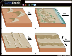 Types of Dunes