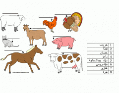 Arabic: Farm animals