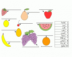 Arabic Food: Fruit