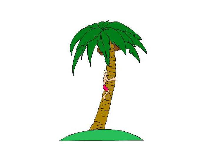 Label The Palm Tree Quiz