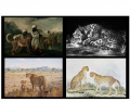 Cheetahs in Art: Paintings (Part 1)