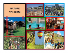 Types of tourism