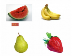 pick the fruit
