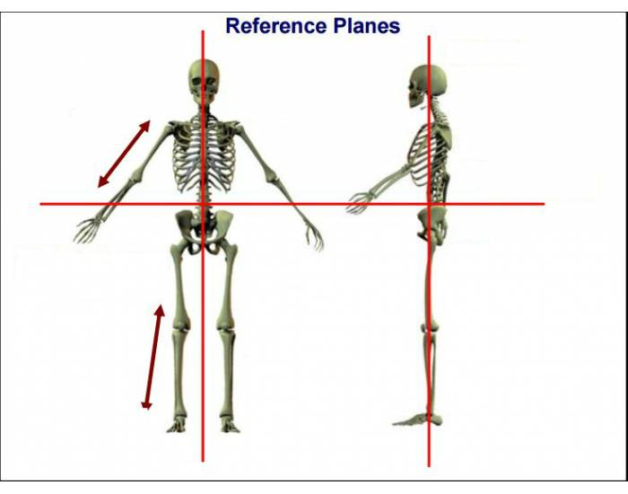 Reference Geometry Plane Reference Planes Quiz