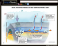 Dynamics of Deep-Sea Hydrothermal Vents