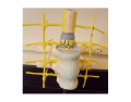 spinal nerve model