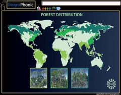 Forest Distribution map of the world