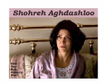 Shohreh Aghdashloo's Academy Award nominated role