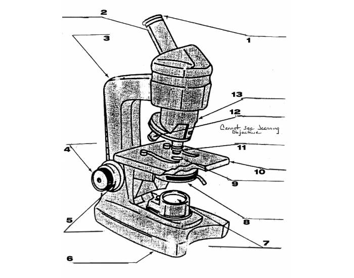 Parts of a Microscope Quiz