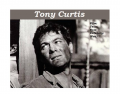 Tony Curtis' Academy Award nominated role