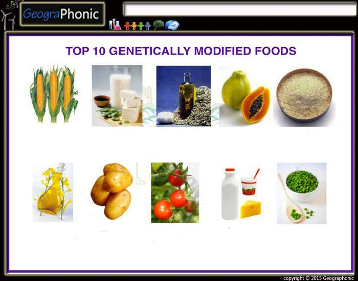 Gmf Examples Genetically Modified Food