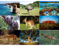 NATURAL INTERESTINGS OF AUSTRALIA- 