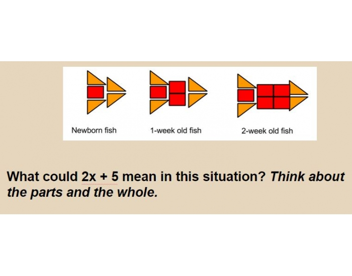 Math Expressions Fish Fish and expressions: What??? Quiz