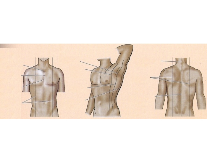 Reference Line In Body Reference Lines Quiz