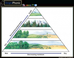 Biome Pyramid