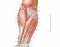 Superficial Anterior Forearm Muscles