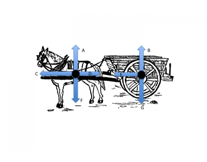 Label the forces for the horse cart problem — Printable Worksheet