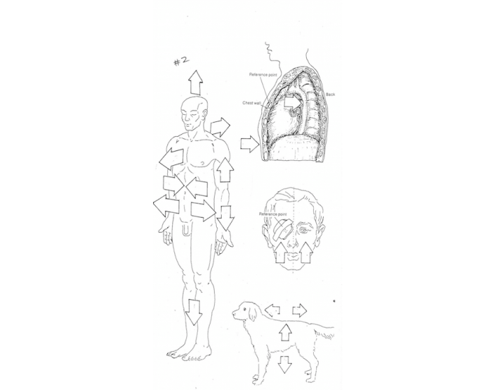 Anatomical Directions Quiz