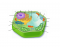Typical Plant Cell Anatomy