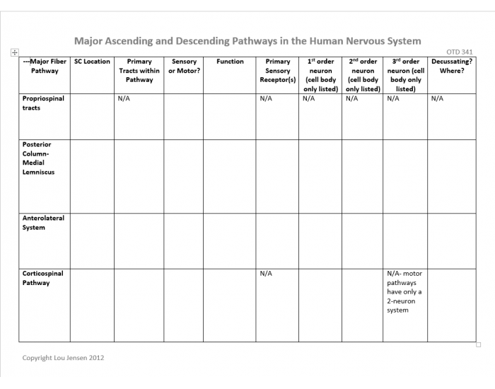 Major Ascending and Descending Pathways Quiz