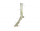 Horse Leg Skeleton - DOT QUIZ - EASY