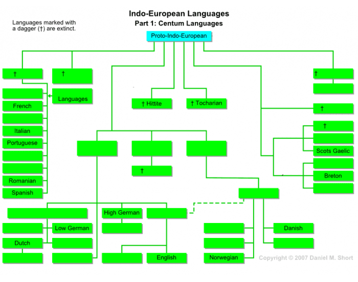 Languages Tree (1) Quiz