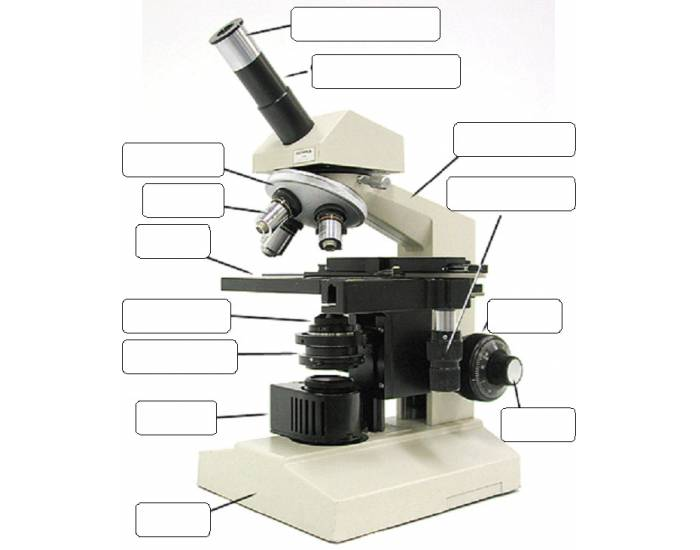 Microscope Parts Quiz