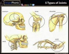 5 types of Joints 