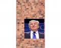 Donald and the wall