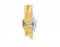 Anatomy of the Synovial Joint (Latin)