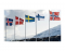 Can you these nordic flags?