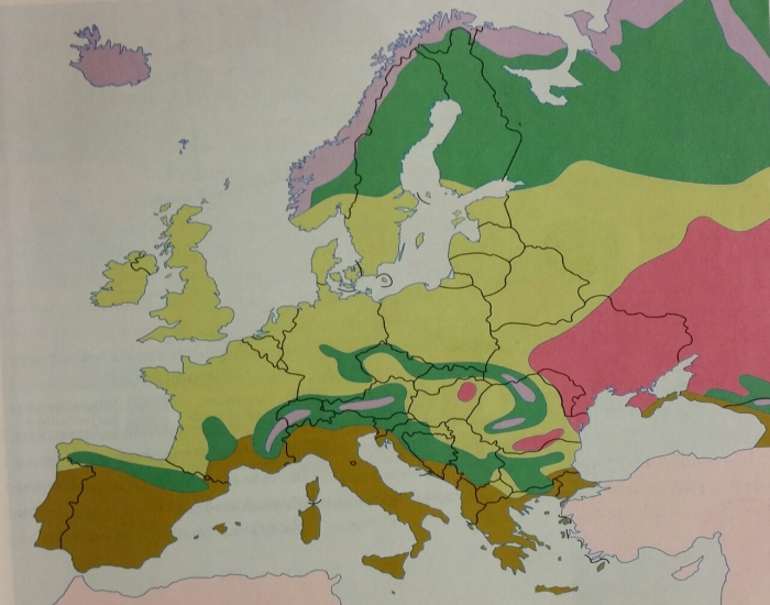 Euroopan Kasvillisuusvy hykkeet Quiz euroopan-kasvillisuusvy-hykkeet-quiz