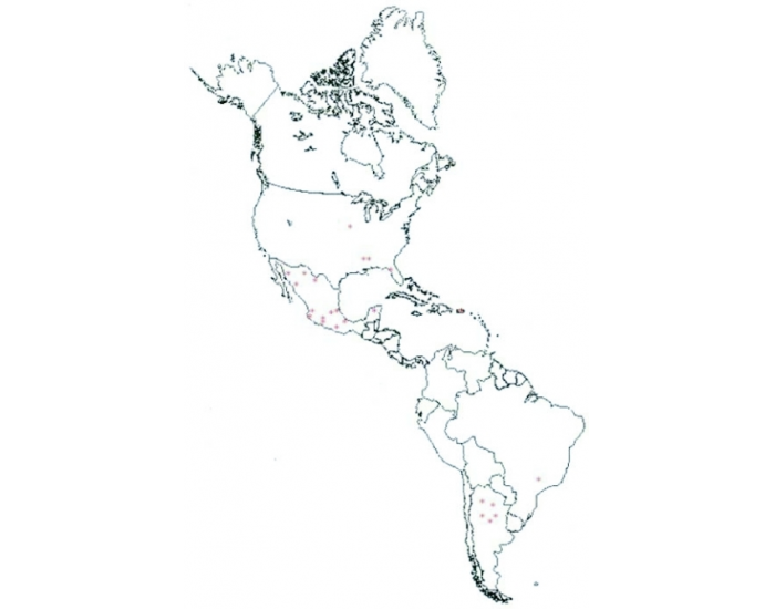 FINAL Western Hemisphere Quiz