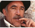 Anthony Quinn Movies 113