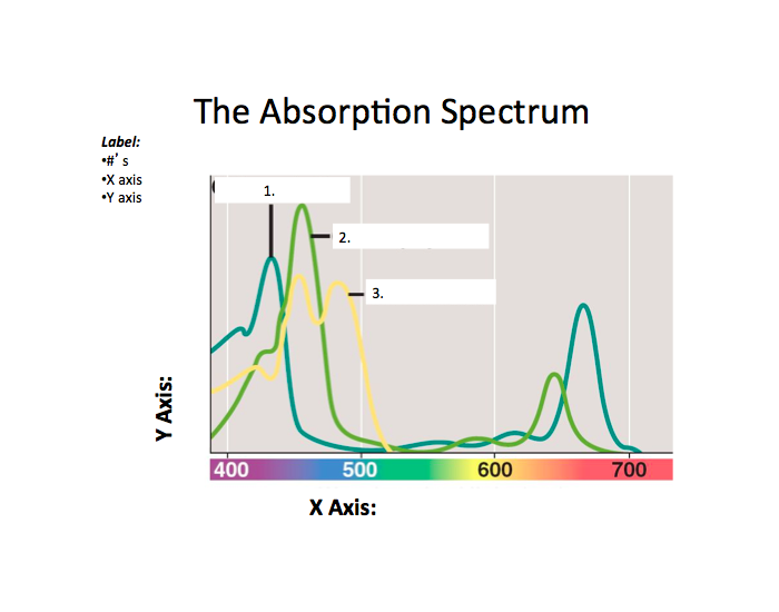 The Absorption Spectrum Quiz