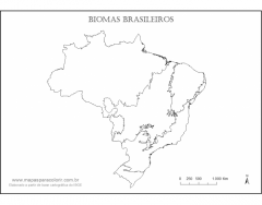 Biomas Brasileiros (Amazônia, Cerrado, Pampa, etc)