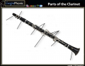 Parts of a Clarinet