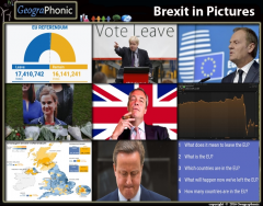 Brexit in Pictures