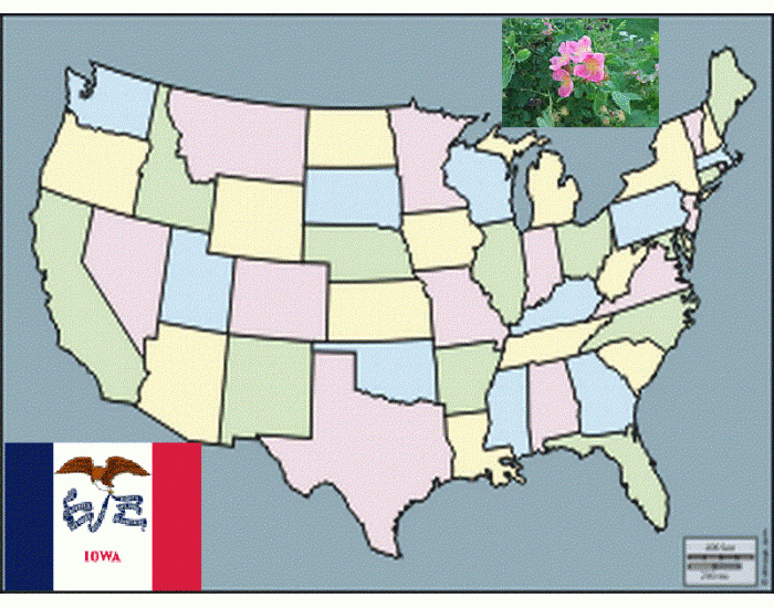 Iowa State Neighbors Quiz