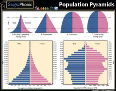 Population Pyramids matching game