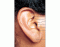 Outer Ear anatomy 