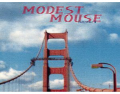 Modest Mouse Mix 'n' Match 377