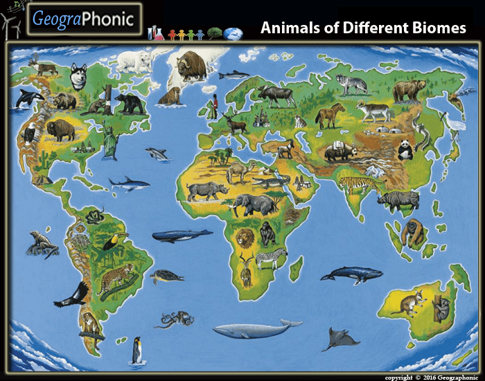 11 Types of Biome and Their Animals (With 100+ Photos & Maps)