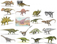 Dinosaur Gallery: Identification
