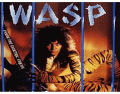 Wasp Mix 'n' Match 450