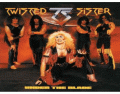 Twisted Sister Mix 'n' Match 449