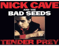 Nick Cave & The Bad Seeds Mix 'n' Match 487