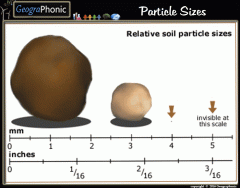 Relative Soil Particle Sizes