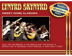 Lynyrd Skynyrd Mix 'n' Match 493